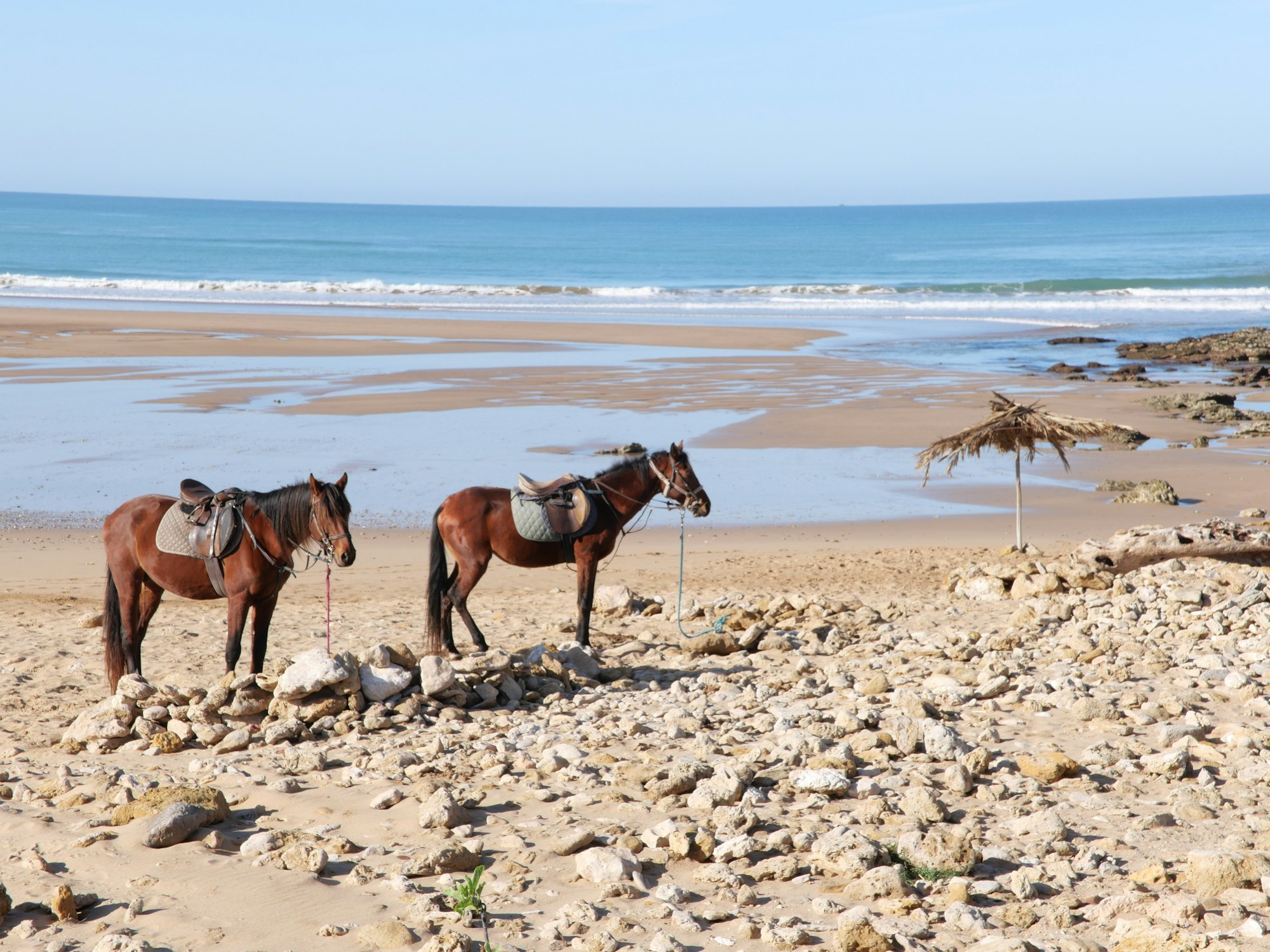 Beach of Sidi Kaouki, Maroc