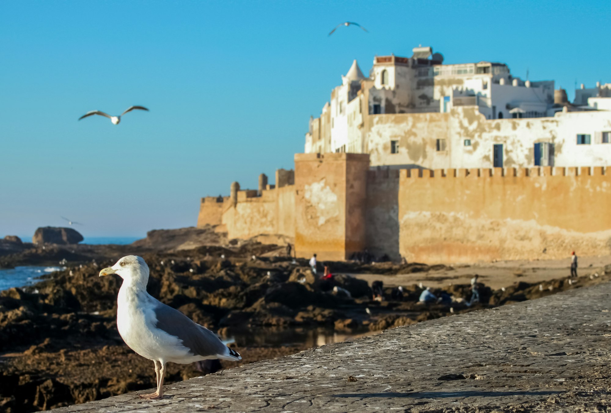 City of Essaouira in Morocco